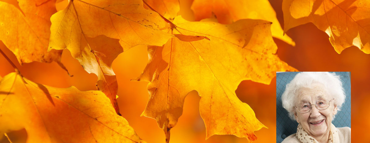 Verde Valley Caregivers Coalition